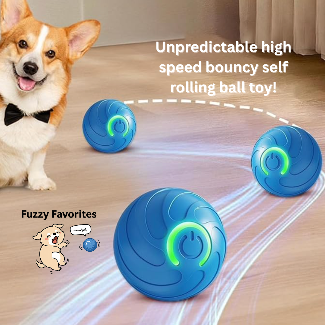Dog Smarts Bouncing Ball Automatic Rolling Cats Ball Toy Interactive Dog Toys Pet Training Dog Interactive Toys For Dogs Home