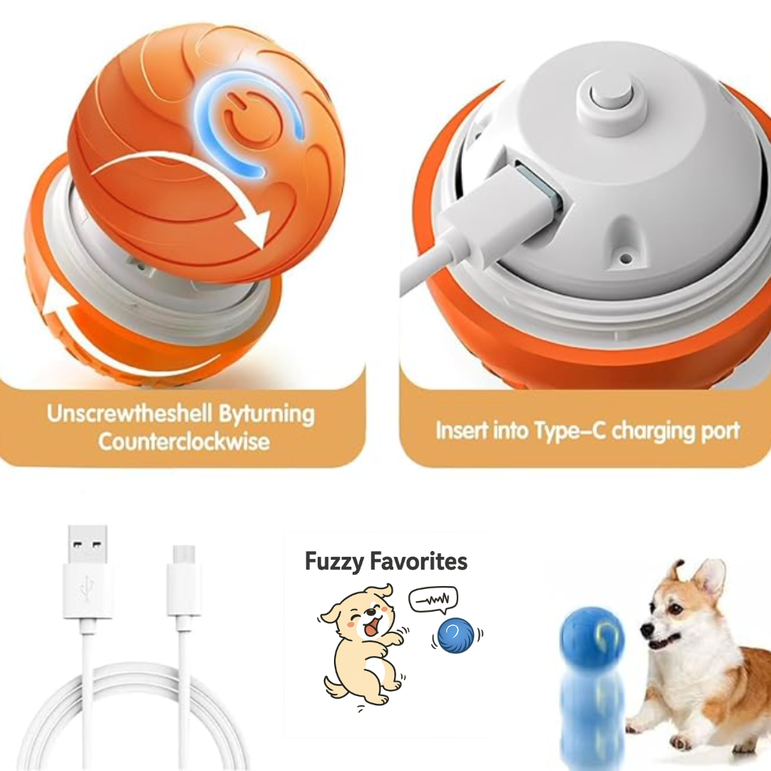 Dog Smarts Bouncing Ball Automatic Rolling Cats Ball Toy Interactive Dog Toys Pet Training Dog Interactive Toys For Dogs Home